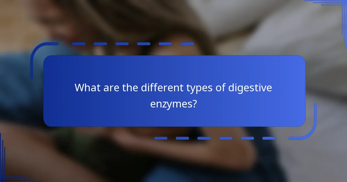 What are the different types of digestive enzymes?